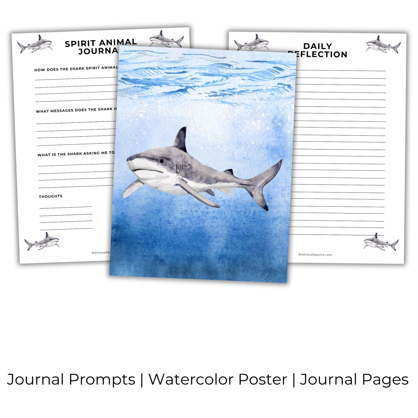 Shark Journal