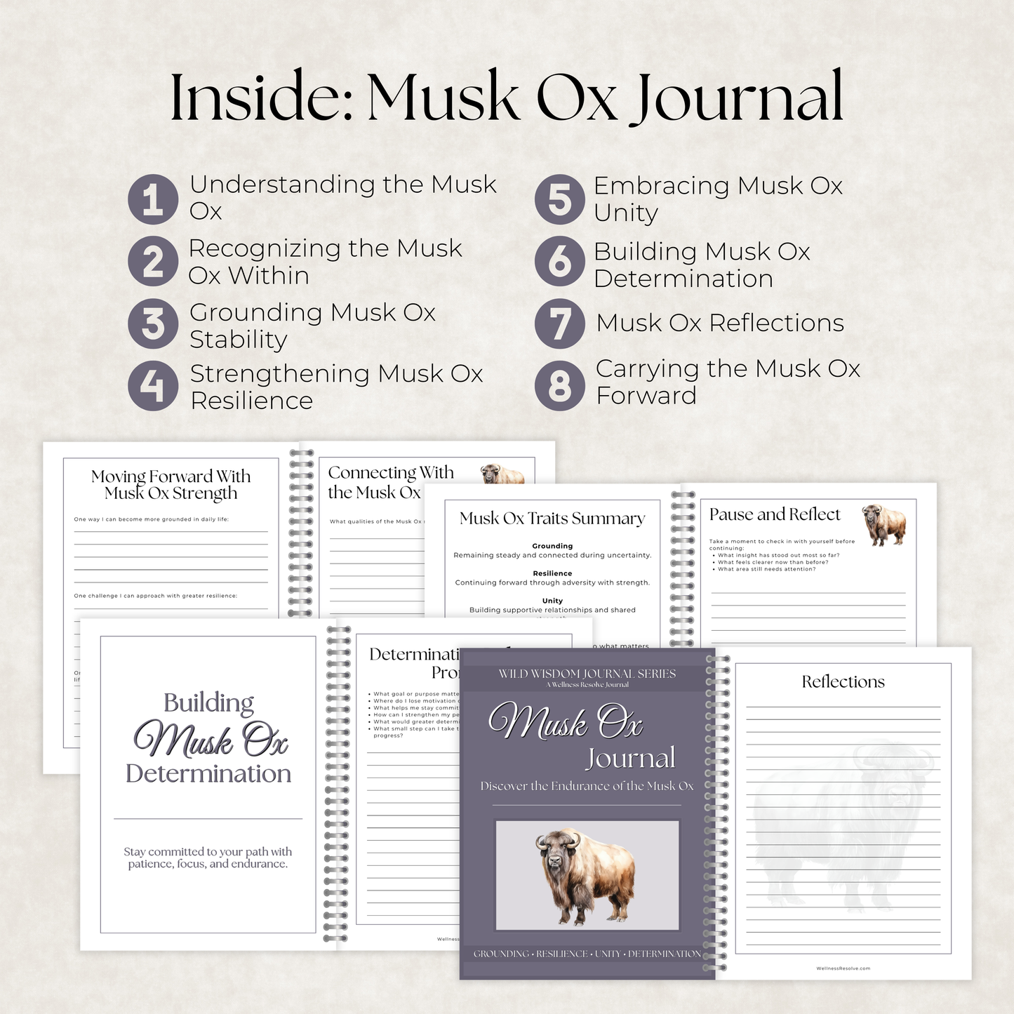Unshaken Heart Journal Collection