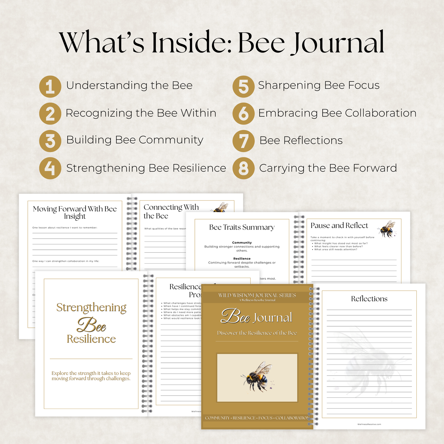 Unshaken Heart Journal Collection