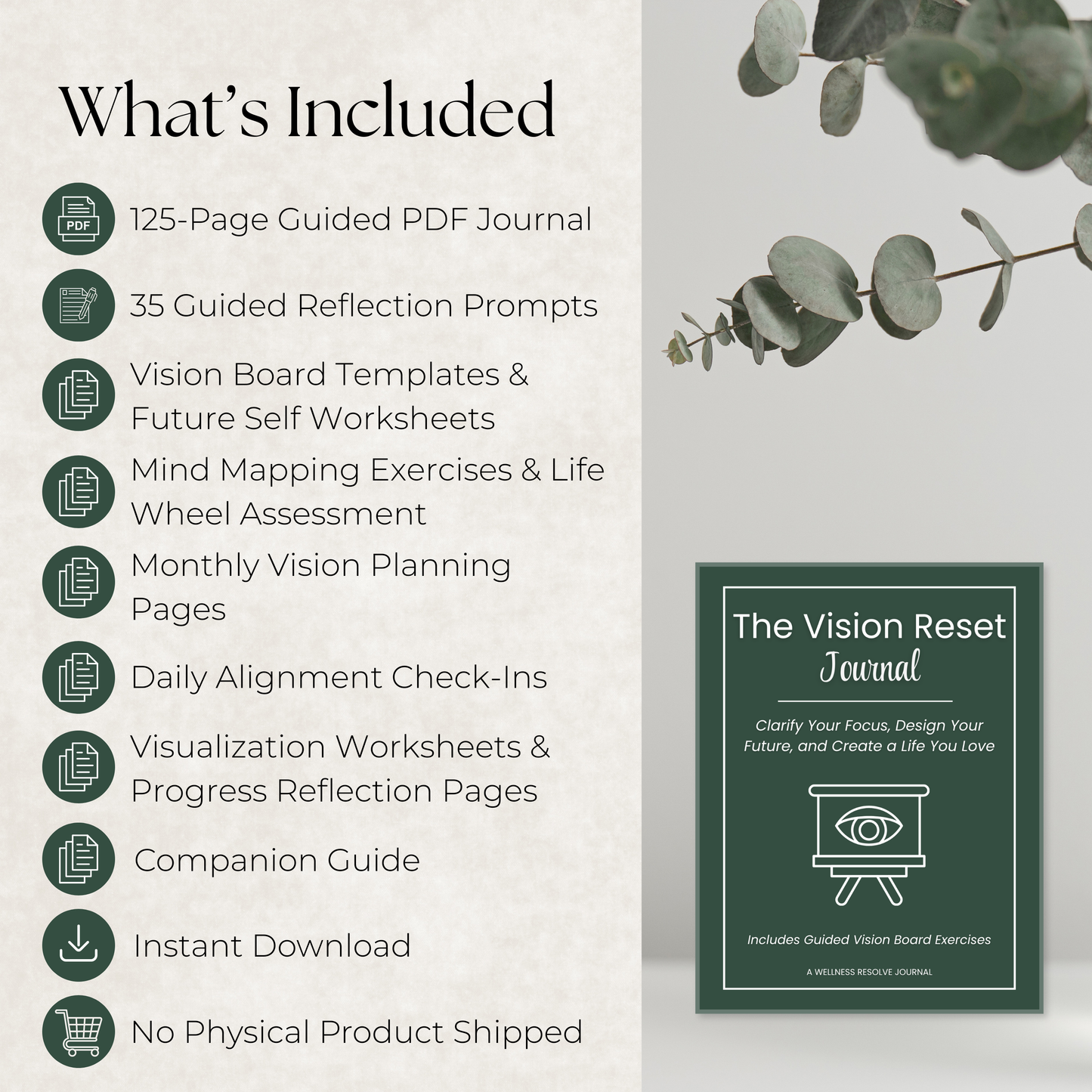 Vision Reset Journal